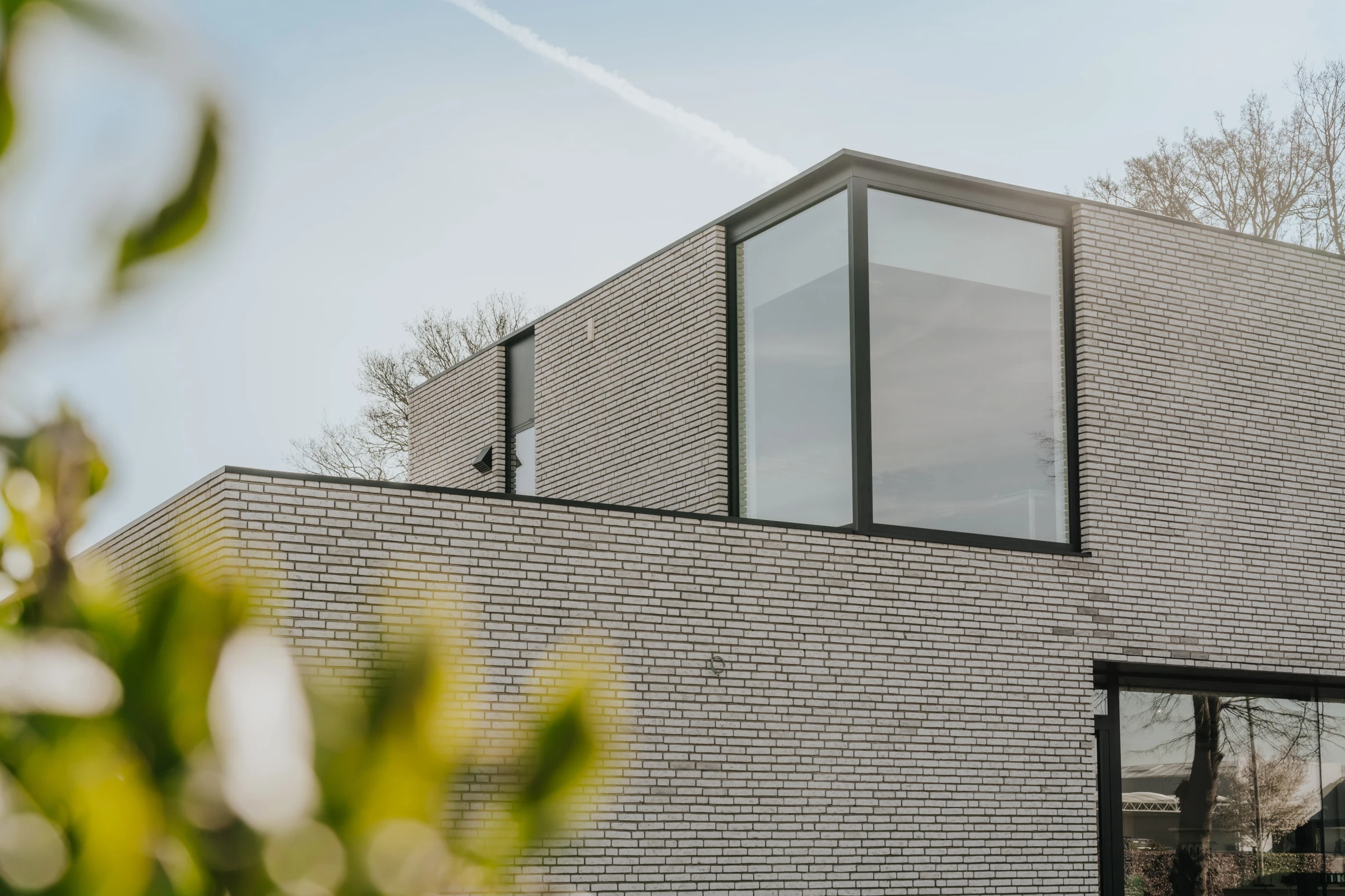 Moderne architectuur - Dierenartsenpraktijk, dierenwinkel Architect Molenbeersel, moderne architectuur, olivier bricks, grijze gevelsteen, karma grey, hoekraam tot tegen dakrand