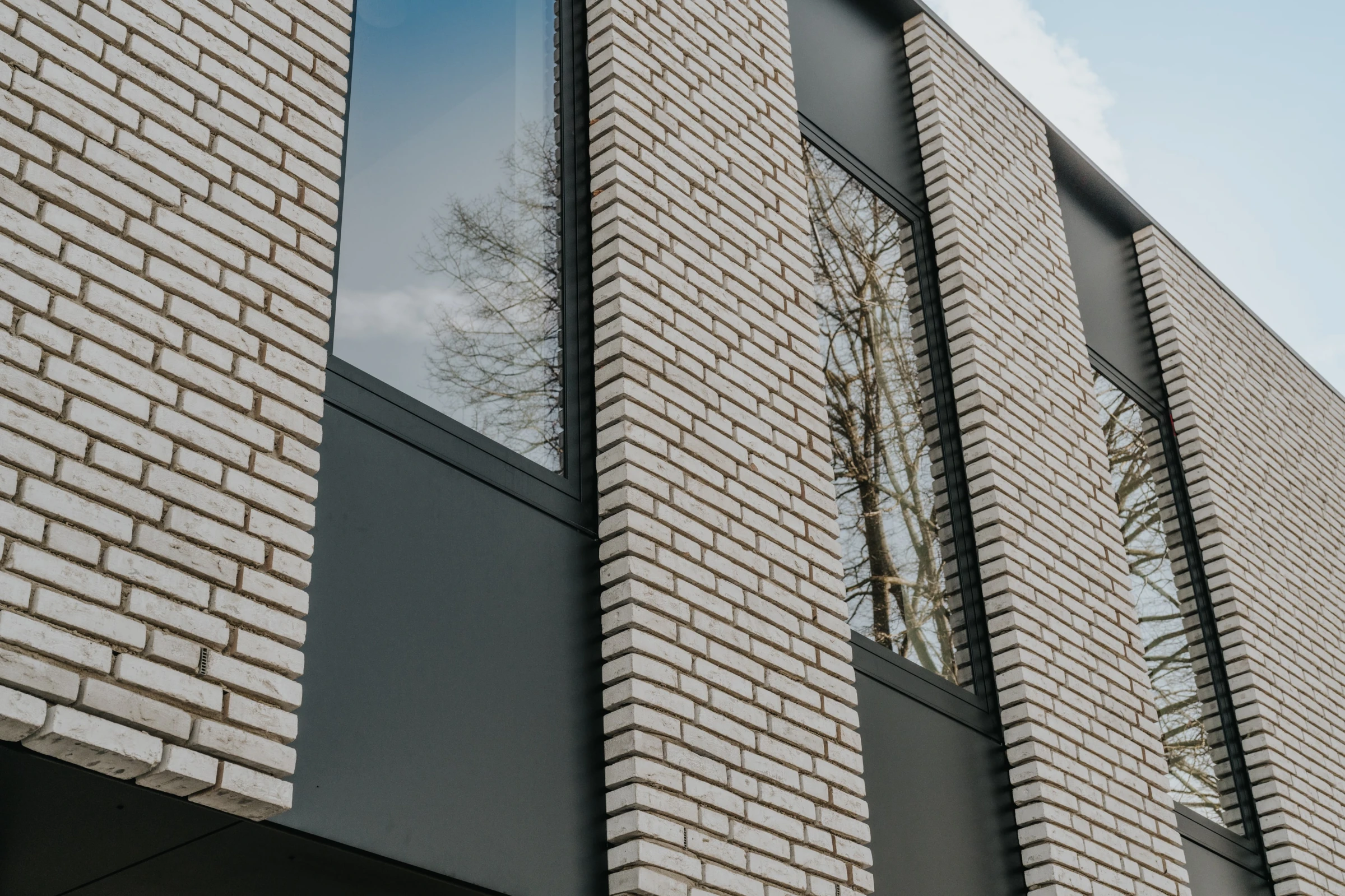 Moderne architectuur - Dierenartsenpraktijk, dierenwinkel Architect Molenbeersel, moderne architectuur, olivier bricks, grijze gevelsteen, karma grey, hoekraam tot tegen dakrand